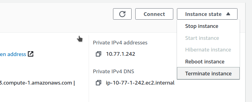 Terminate instance